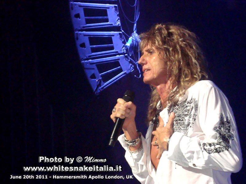 Whitesnake 2011